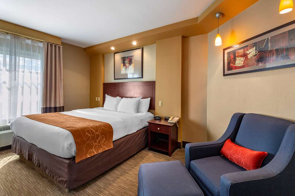 Comfort Suites Perrysburg Toledo South - photo 14