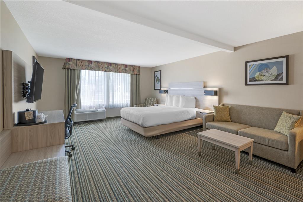 Best Western Plus Twin View Inn & Suites - photo 28