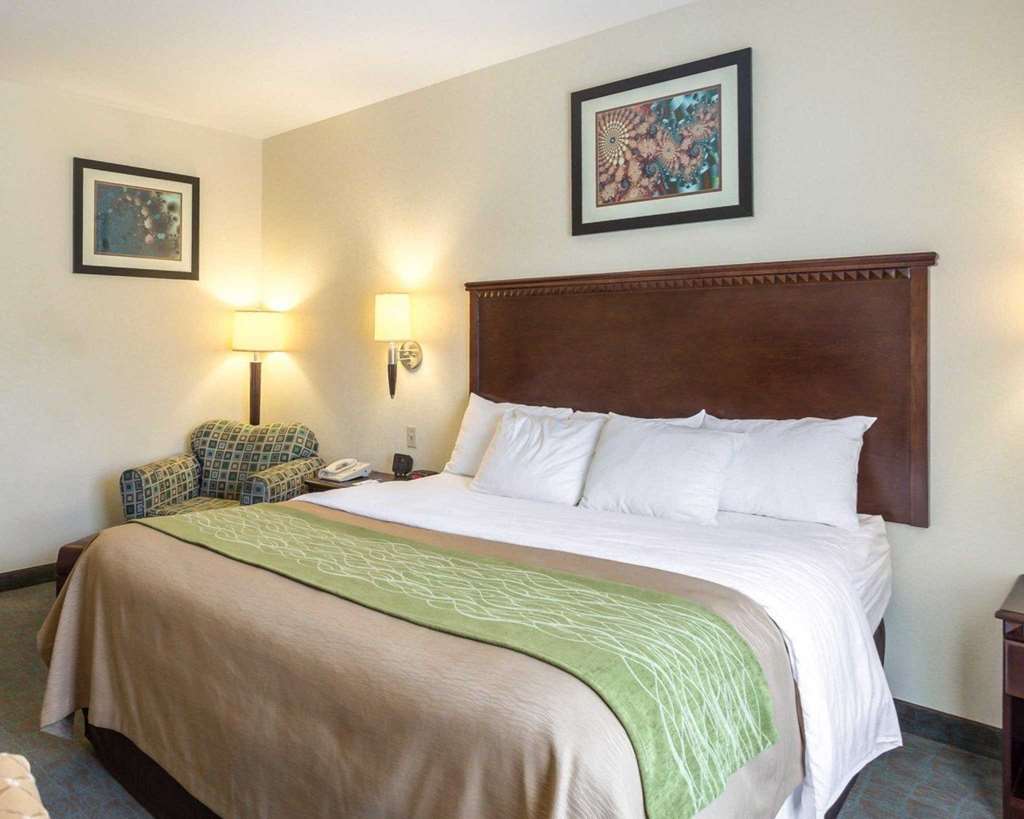 Quality Inn Donaldsonville Gonzales - photo 4
