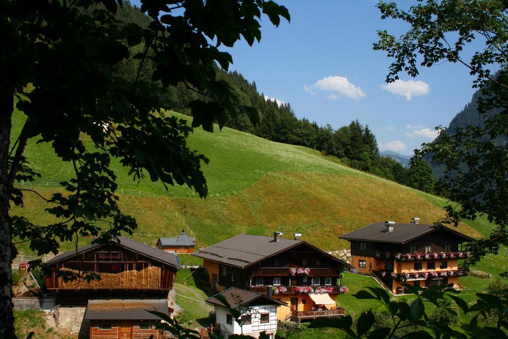 Appartements Moser — 4-Star Luxury Hotel in Viehhofen, Austria