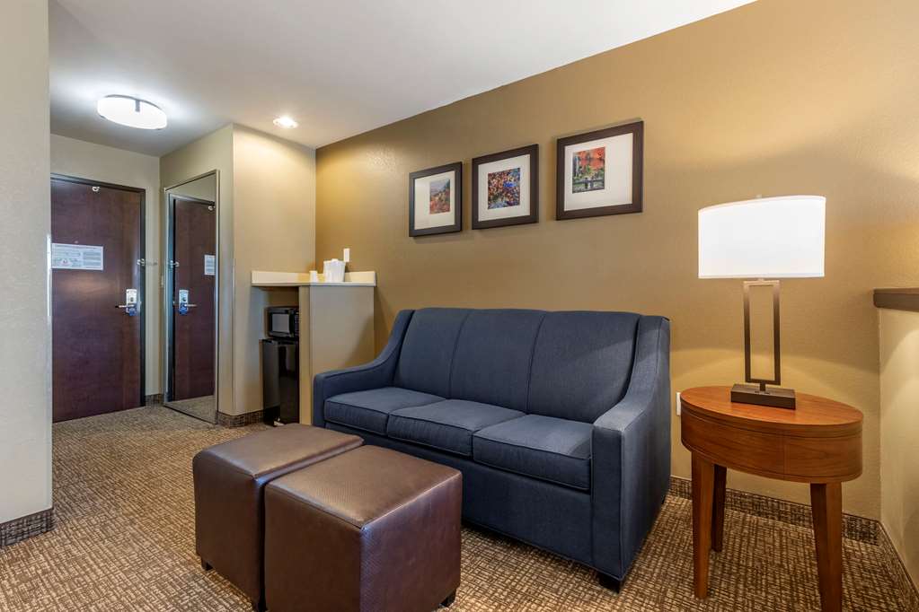 Comfort Inn & Suites Russellville I 40 - photo 22