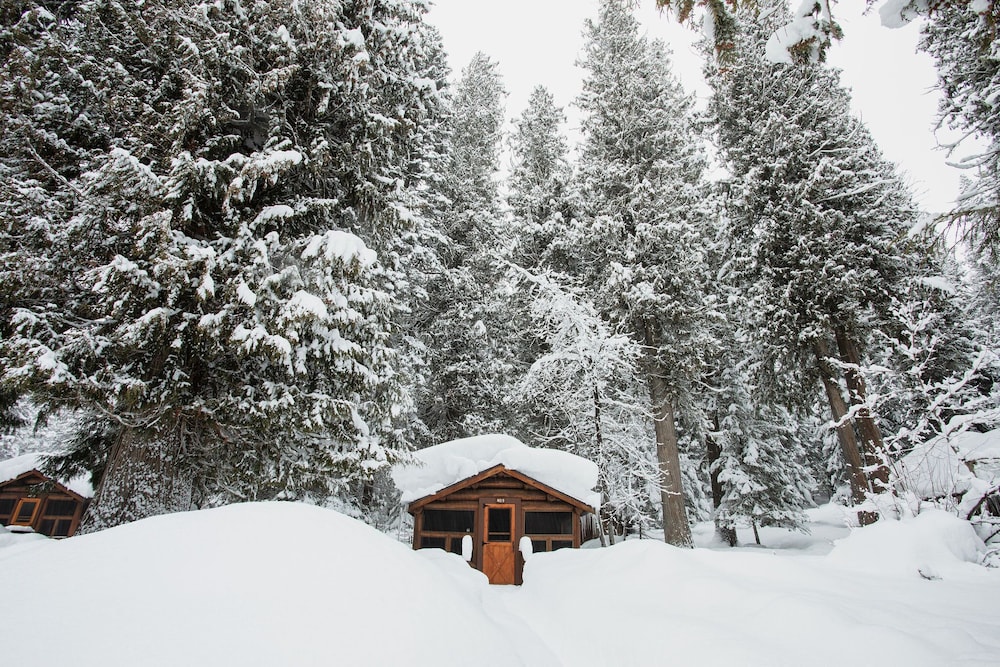 Lochsa Lodge Resort - photo 48