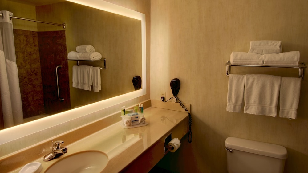 Holiday Inn Express & Suites Sioux Center by IHG - photo 19