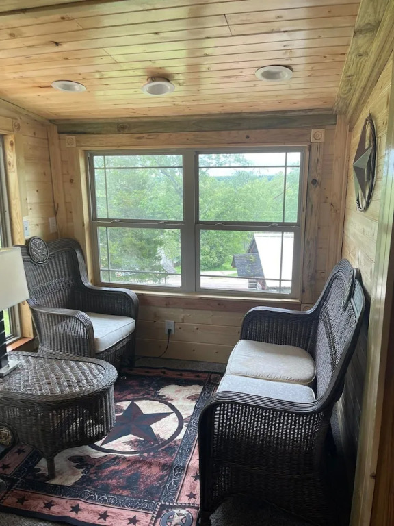 Meramec River Resort - photo 7