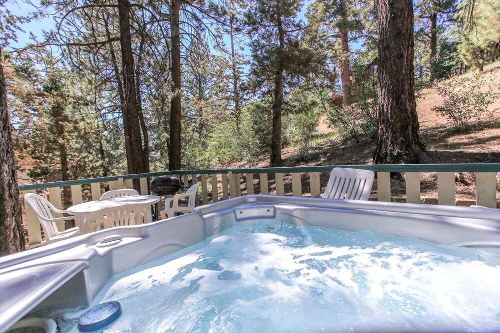 Happy Bear — Big Bear Lake — photo 5