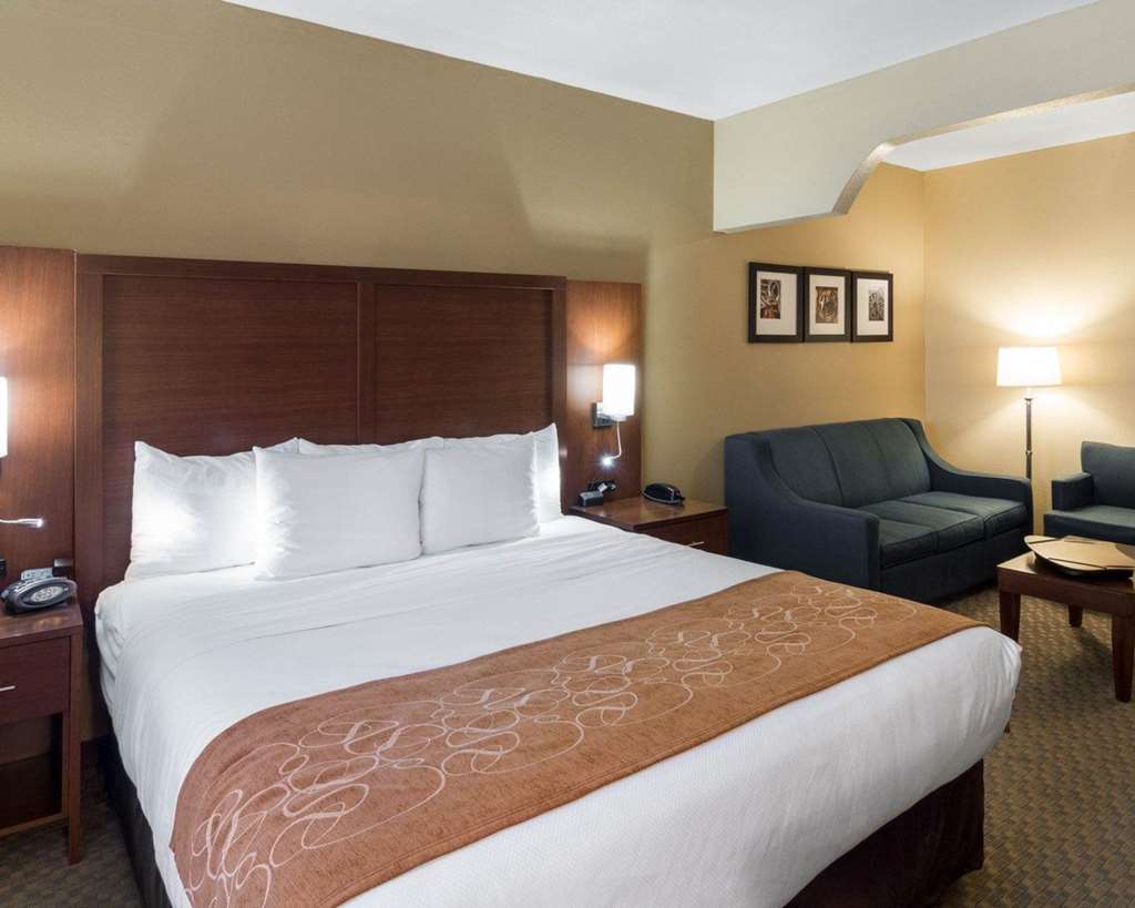 Quality Suites Midland North Loop 250 - photo 16