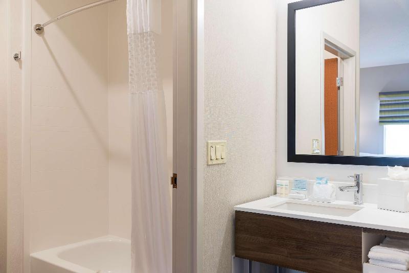 Hampton Inn & Suites East Lansing Okemos - photo 74