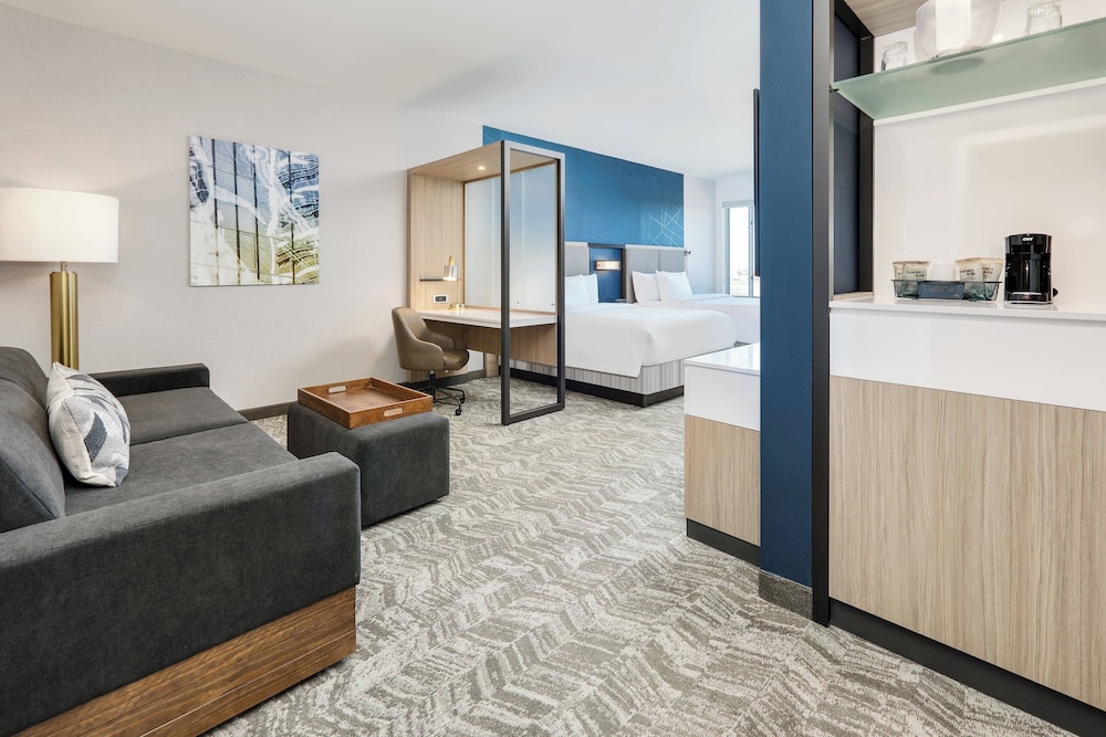 Springhill Suites Dallas Mansfield — Mansfield