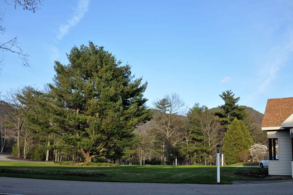 Fox Ridge Resort - photo 30
