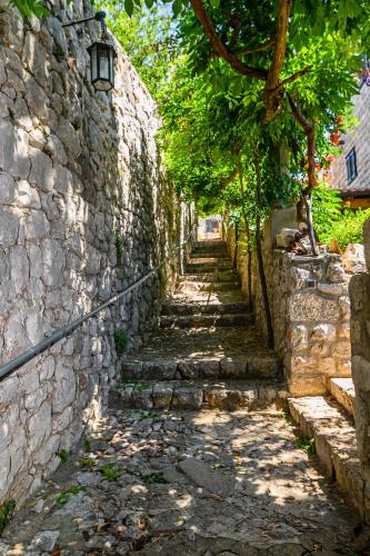 Vintage house Kolocep