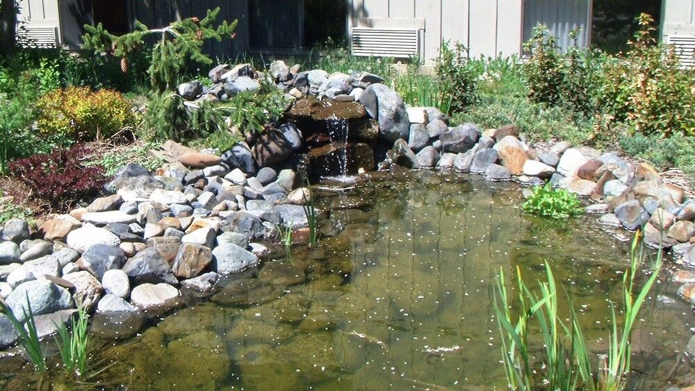 Wilderness Inn - photo 2