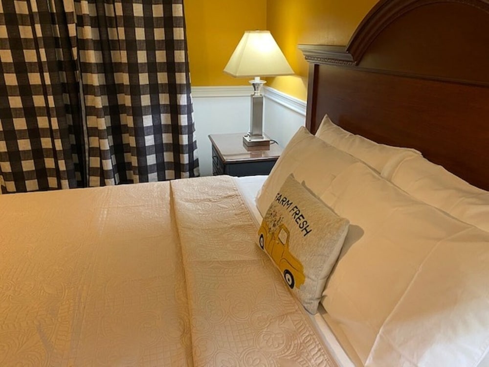 Hotel Dushore - photo 5