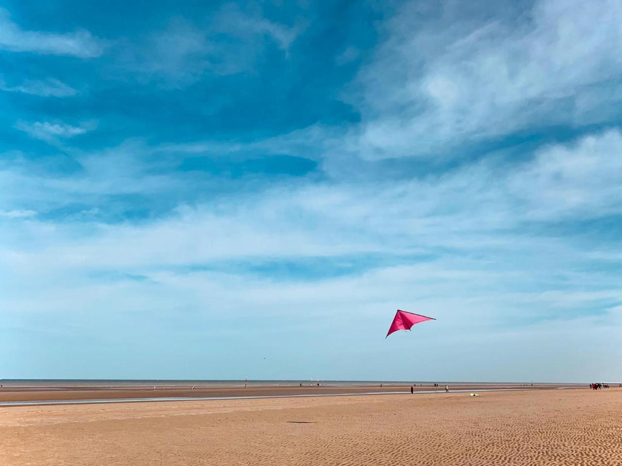 Potvis — Koksijde — photo 5