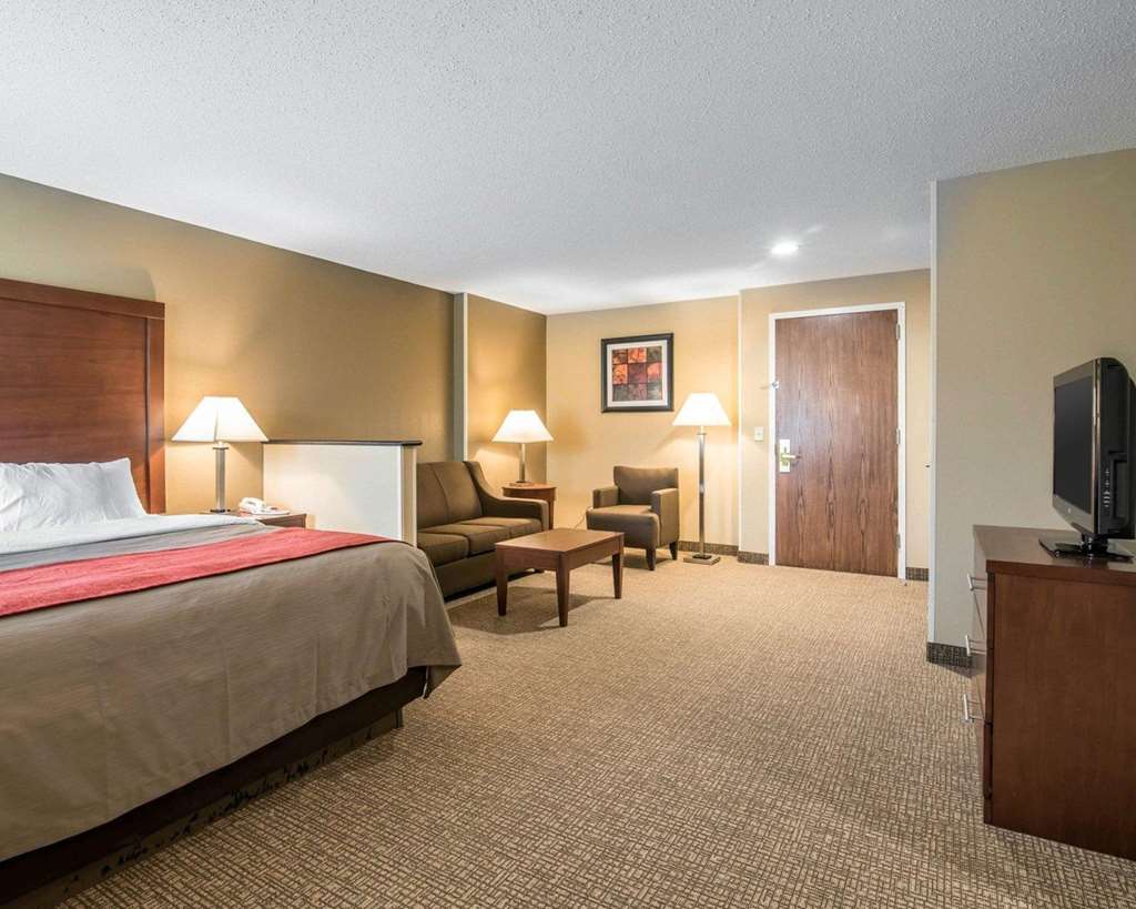 Comfort Inn Saugerties - photo 19