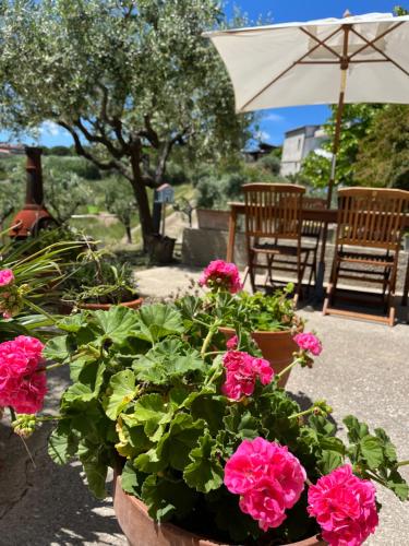 Casa vacanze 365 verde — 4-Star Luxury Hotel in Tortoreto Lido, Italy