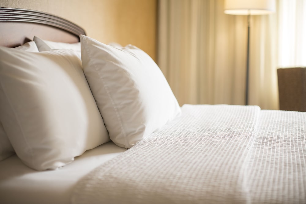 Courtyard by Marriott Denver South Park Meadows Mall - photo 5