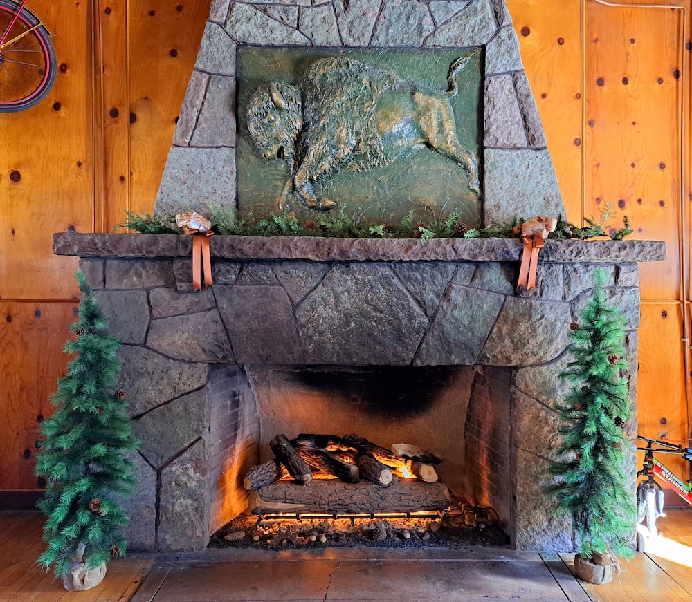 Buffalo Lodge Bicycle Resort - photo 198