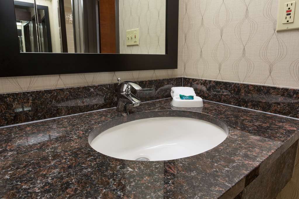 Drury Inn & Suites Houston Near the Galleria - photo 25