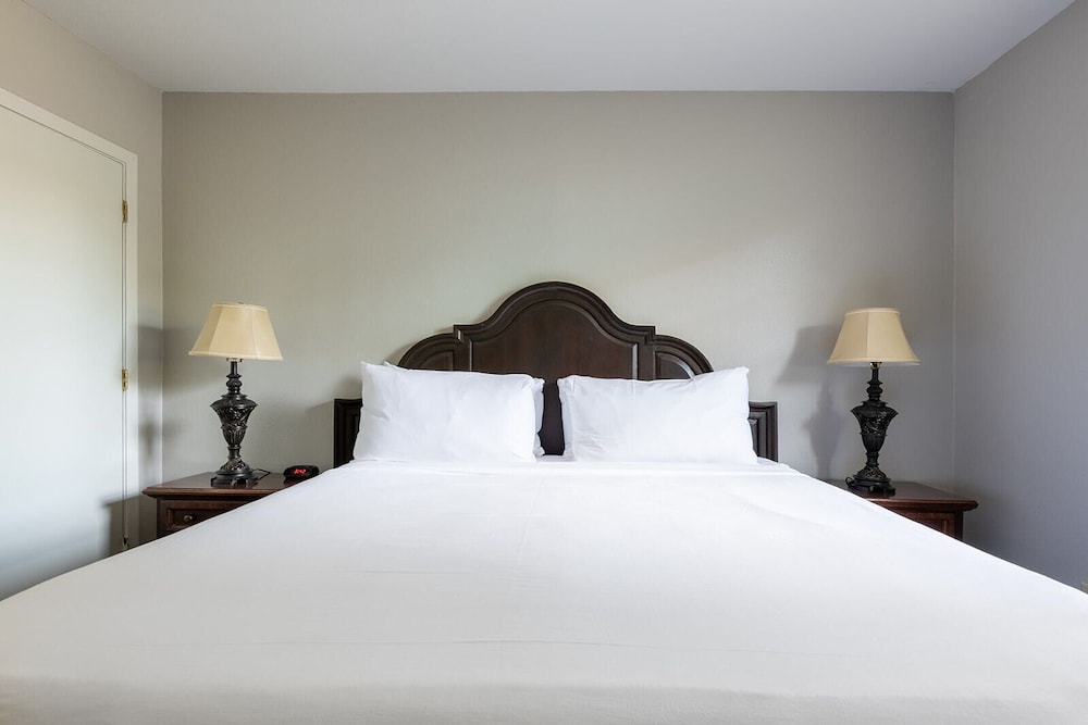 French Quarter Suites Hotel - photo 32