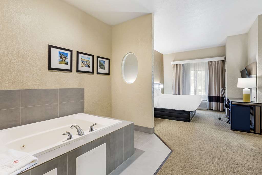 Comfort Suites Merrillville near US 30 - photo 20