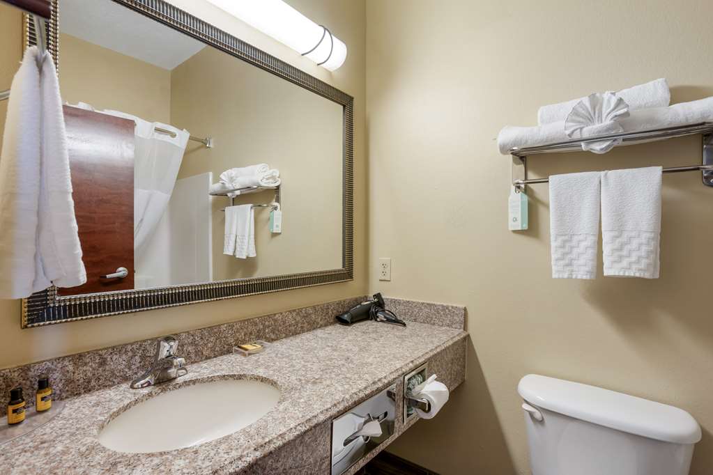 Best Western Plus Springfield Airport Inn - photo 30