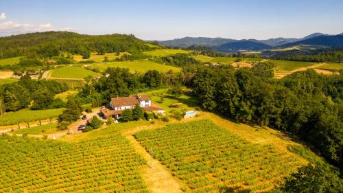 B & B Il Poggio di Gavi — 4-Star Luxury Hotel in Gavi, Italy