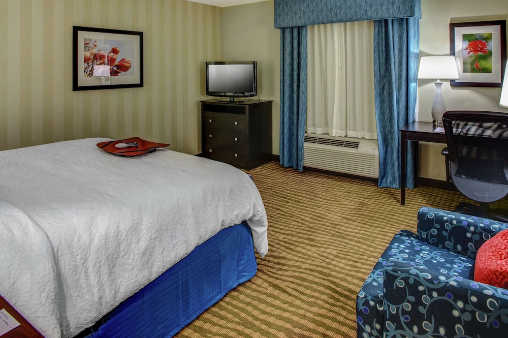 Hampton Inn Thomson - photo 9