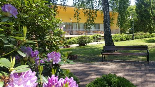 Leśna Radość - last minute hotel in Jastrzab