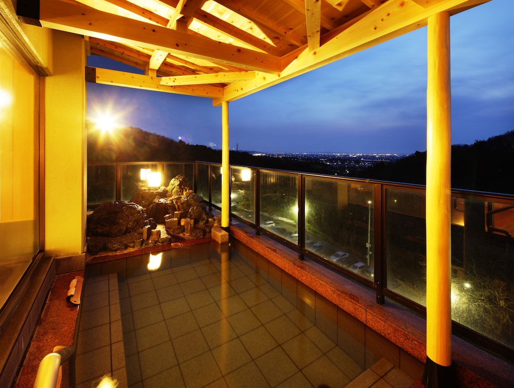 Hotel Oyanagi — hotel in Niigata