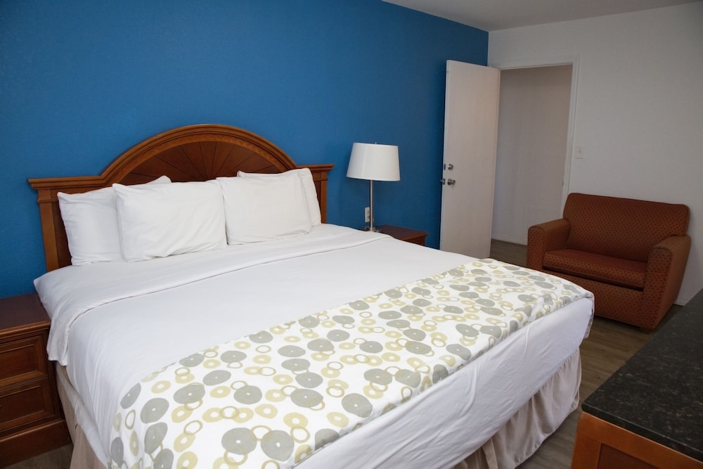 Dream Inn - photo 36