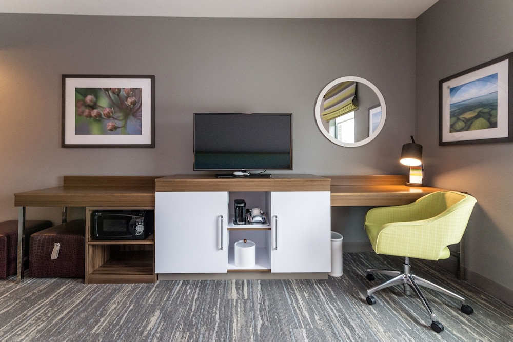 Hampton Inn & Suites Allen Park - photo 3