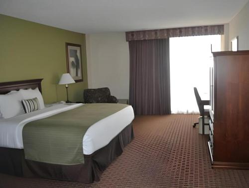 Garden Plaza Hotel - photo 19