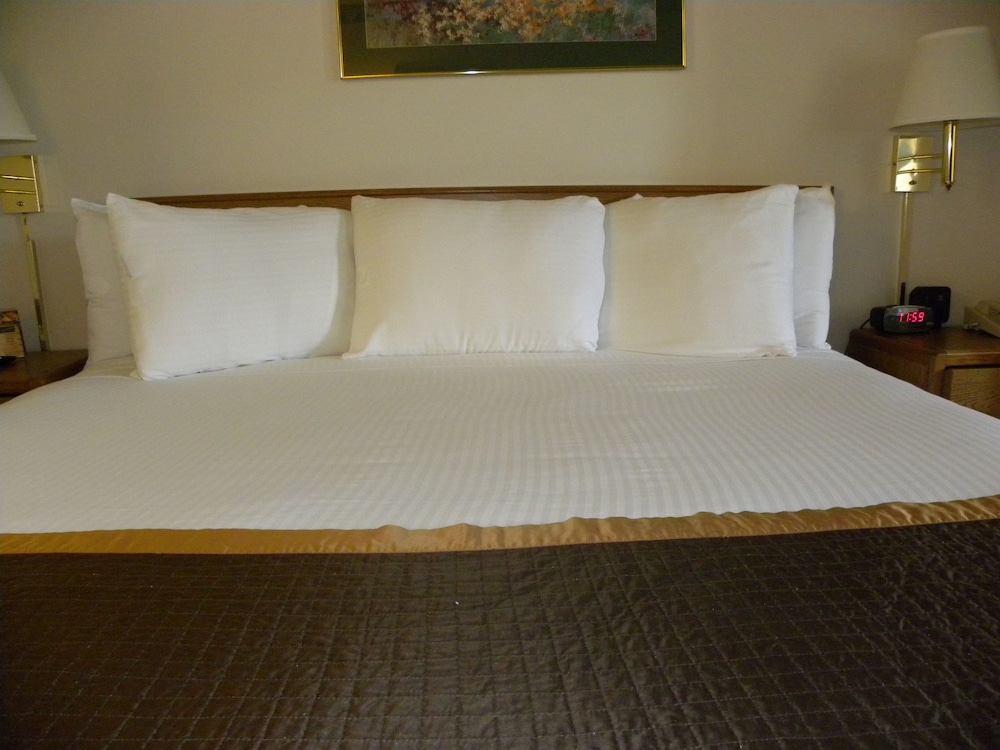 New Victorian Suites - photo 7