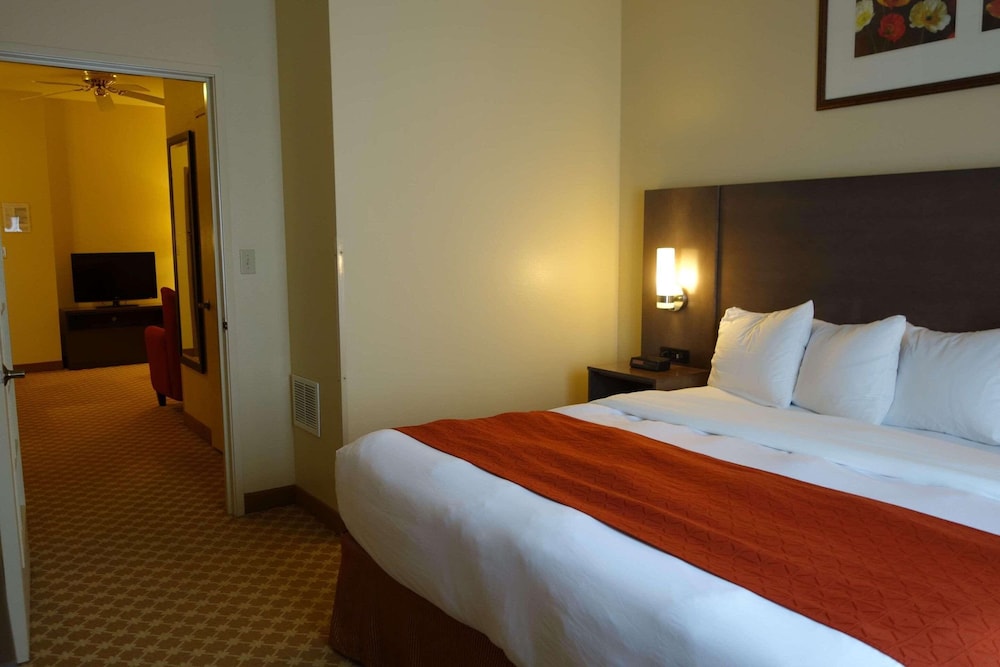 Country Inn & Suites by Radisson Clinton IA - photo 8