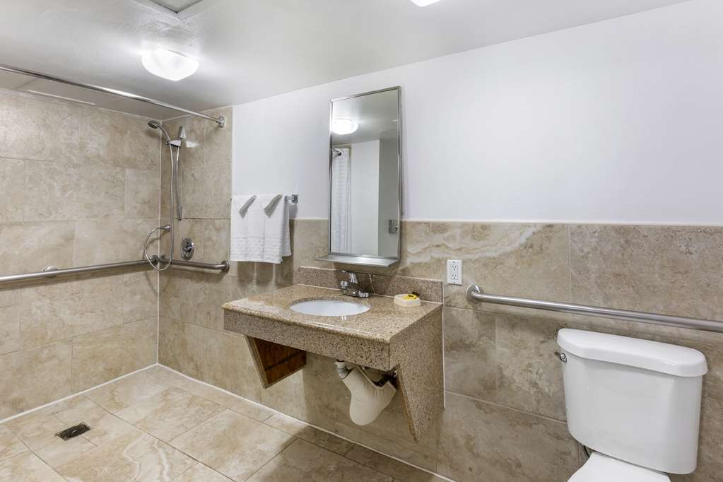Best Western Plus El Paso Airport Hotel & Conference Center - photo 25