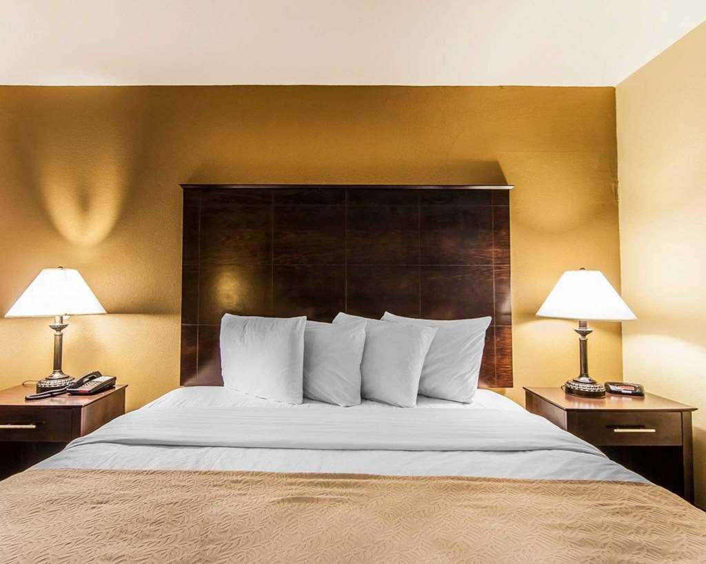 Quality Inn & Suites Bremen - photo 8