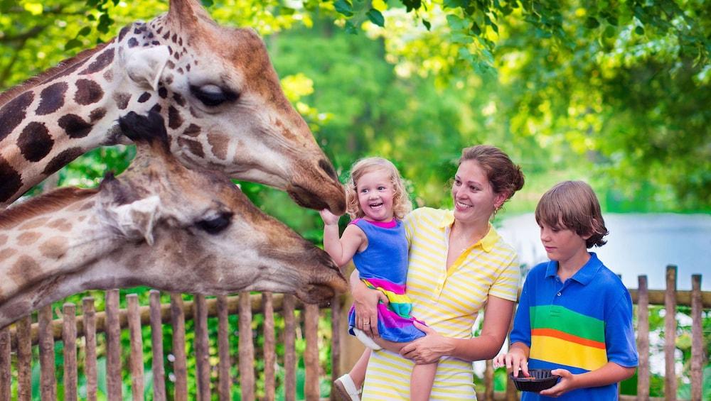 Classic Inn Early - photo 3