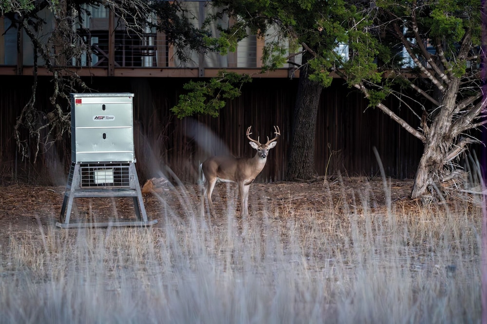 Outdoorsy Hill Country - photo 45
