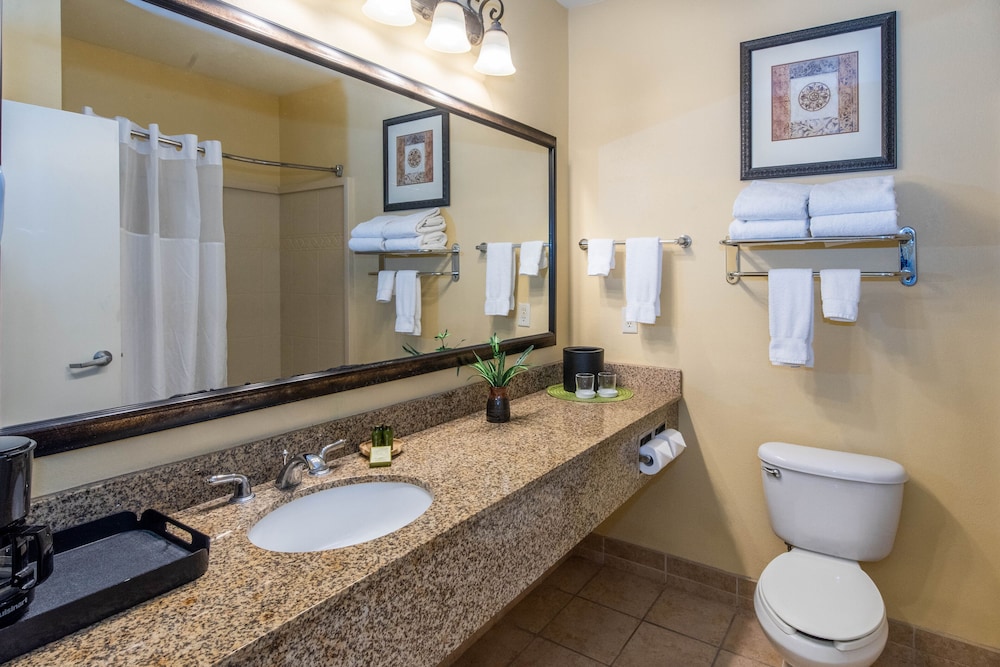 Natchez Grand Hotel & Suites On the River - photo 24