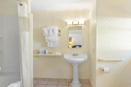 Blue Spruce Inn & Suites - photo 25