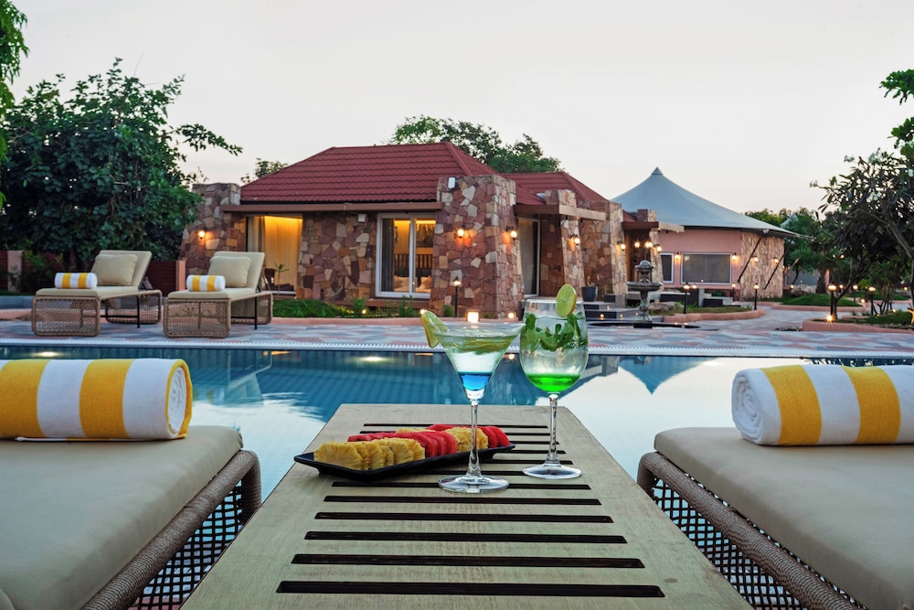 Wild forest Sasan Gir Wildlife Sanctuary in Mendarda, India