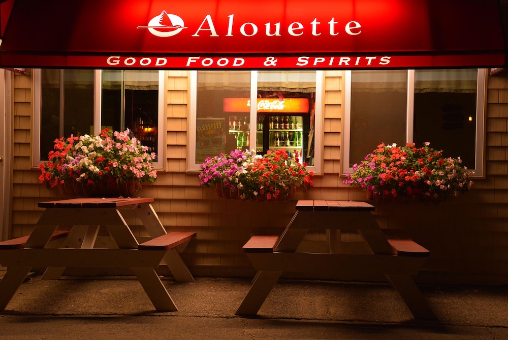 Alouette Beach Resort - photo 49