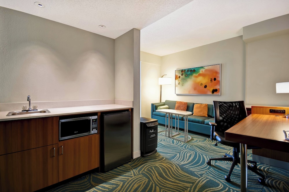 SpringHill Suites by Marriott Baltimore BWI Airport - photo 8