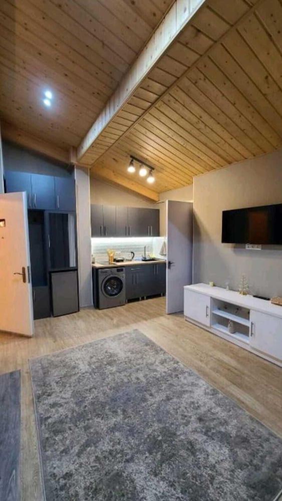 Gudauri Winter House