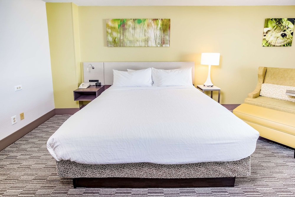 Hilton Garden Inn Orange Beach Beachfront - photo 24