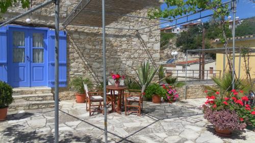 Mountain View Oasis