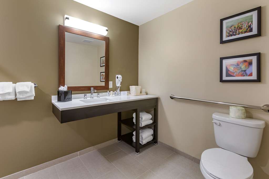 Comfort Suites Albuquerque Airport - photo 13