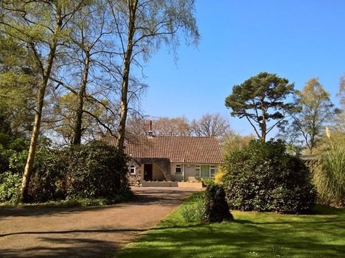 Birchcroft Hideaway - last minute hotel in Ferndown