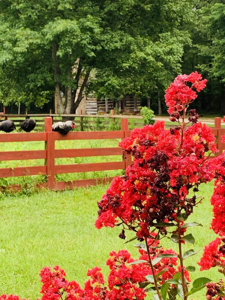Coulter Farmstead - photo 113