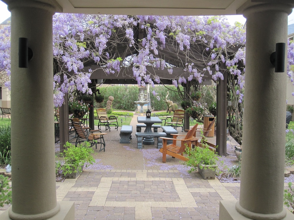 Vineyard Court Designer Suites Hotel - photo 37